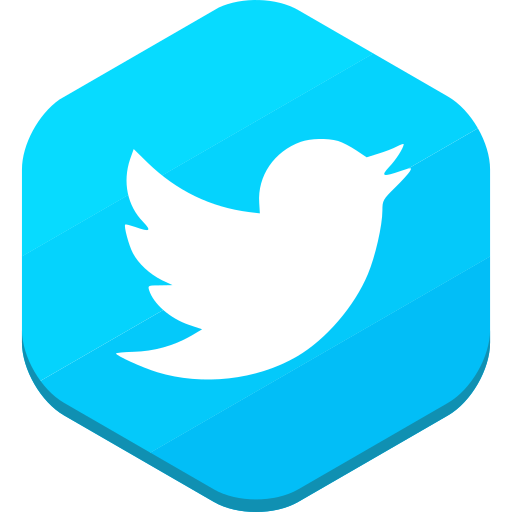 Twitter, social network icon